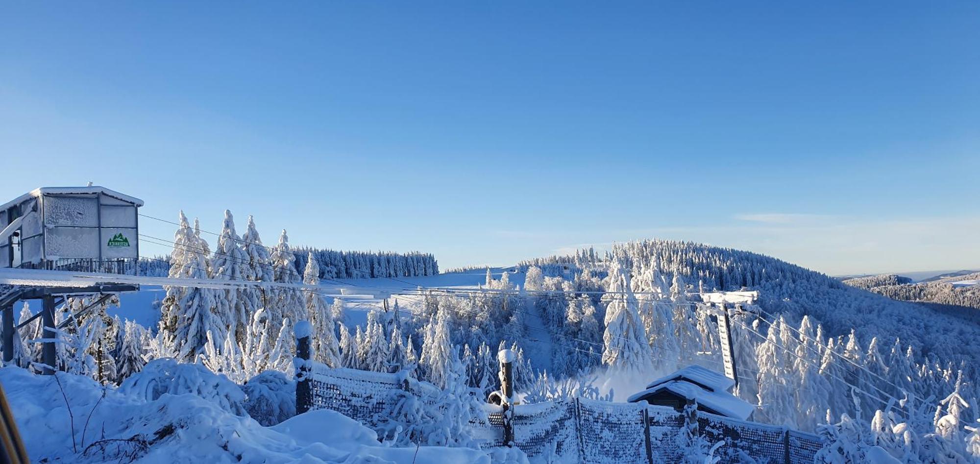 Appartement Haus Schneider à Winterberg Extérieur photo